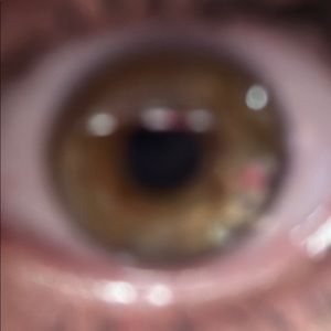 Meet your Posher, Avery